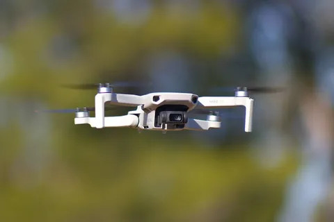 A DJI Mini 4K drone hovering in front of trees